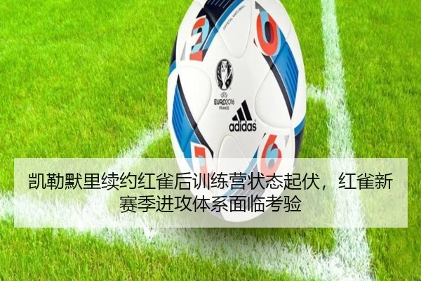 凯勒默里续约红雀后训练营状态起伏，红雀新赛季进攻体系面临考验